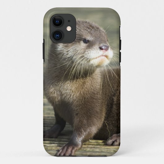 Cute Baby Otter Case-Mate iPhone Case (Achterkant)