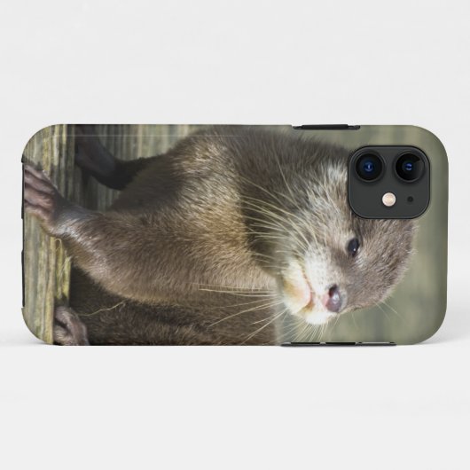 Cute Baby Otter Case-Mate iPhone Case (Achterkant (horizontaal))