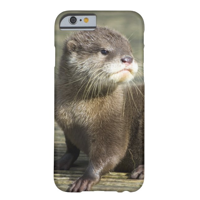 Cute Baby Otter Case-Mate iPhone Case (Achterkant)