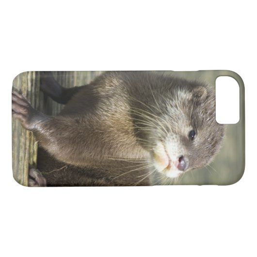 Cute Baby Otter Case-Mate iPhone Case (Achterkant (Horizontaal))