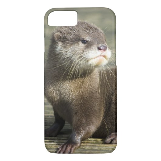 Cute Baby Otter Case-Mate iPhone Case (Achterkant)
