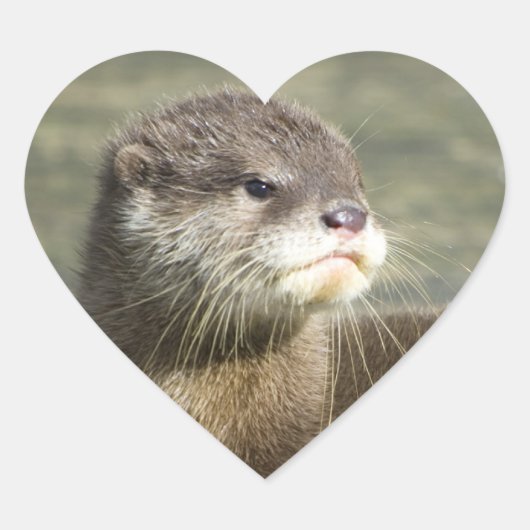 Cute Baby Otter Hart Sticker (Voorkant)