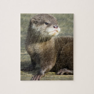 Cute Baby Otter Legpuzzel
