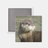 Cute Baby Otter Magneet (Voorkant / Achterkant)