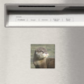 Cute Baby Otter Magneet (Insitu (Vaatwasser))