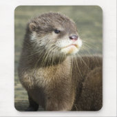 Cute Baby Otter Muismat (Voorkant)