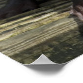 Cute Baby Otter Poster (Hoek)