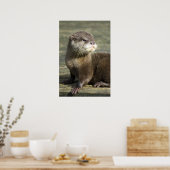 Cute Baby Otter Poster (Keuken)