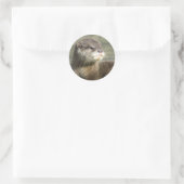 Cute Baby Otter Ronde Sticker (Tas)