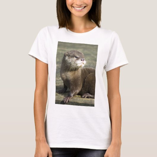Cute Baby Otter T-shirt (Voorkant)