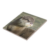 Cute Baby Otter Tegeltje (Zijkant)