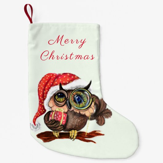 Cute Baby Owl in kerstPet en cadeau voor u Kleine Kerstsok (Voorkant)