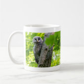 Cute Baby Owl Koffiemok (Links)
