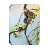 Cute Baby Owls Wildlife Photography Magneet (Verticaal)