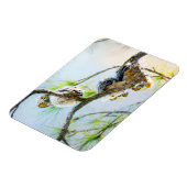 Cute Baby Owls Wildlife Photography Magneet (Linkerzijde)