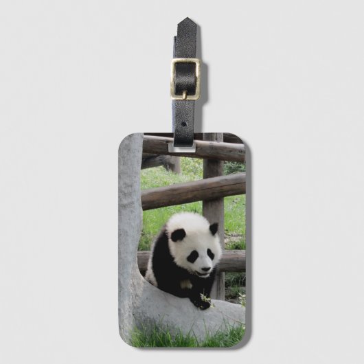 Cute Baby Panda Bagagelabel (Voorkant (verticaal))