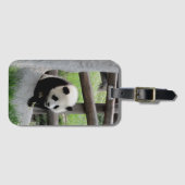 Cute Baby Panda Bagagelabel (Voorkant (horizontaal))