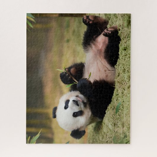 Cute Baby Panda Legpuzzel (Verticaal)