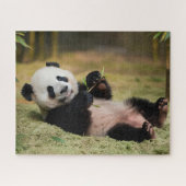 Cute Baby Panda Legpuzzel (Horizontaal)