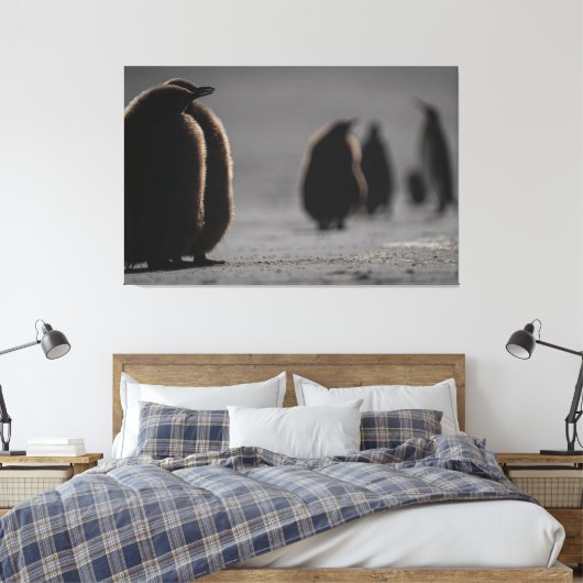 Cute Baby Penguin Chicks | unique Photo Art Canvas Afdruk (Insitu (Slaapkamer))