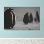 Cute Baby Penguin Chicks | unique Photo Art Canvas Afdruk (Insitu (Houten vloer))
