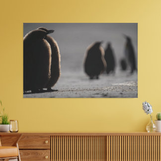 Cute Baby Penguin Chicks | unique Photo Art Canvas Afdruk