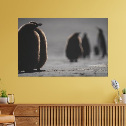 Cute Baby Penguin Chicks | unique Photo Art Canvas Afdruk (Insitu (Woonkamer))
