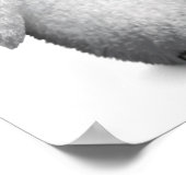  Cute Baby Penguin Dj met hoofdtelefoon Poster (Hoek)