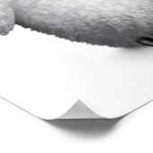 Cute Baby Penguin Wearing Eye Glasses on White Poster (Hoek)