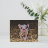 Cute Baby Pig Custom Briefkaart (Staand voorkant)