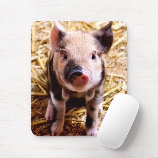 Cute Baby Pig Muismat (Met muis)