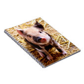 Cute Baby Pig Notitieboek (Rechterzijde)