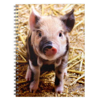 Cute Baby Pig Notitieboek