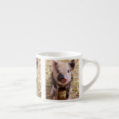 Cute Baby Piglet Farm Animals Barnyard Babies Espresso Kop (Rechts)
