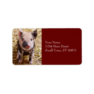 Cute Baby Piglet Farm Animals Barnyard Babies Etiket