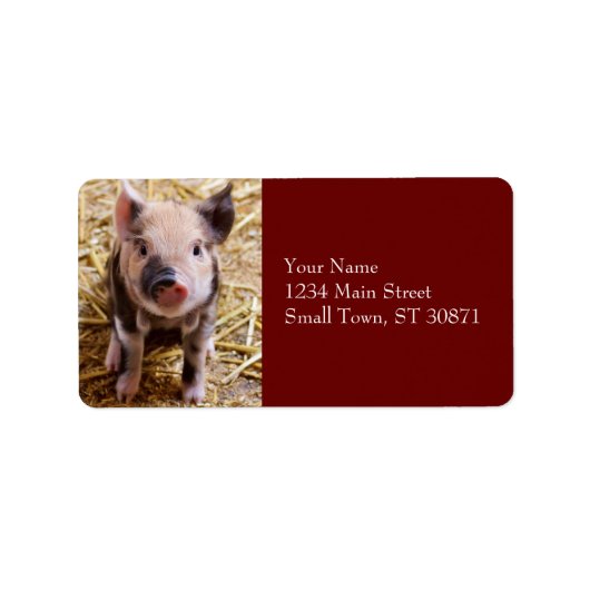 Cute Baby Piglet Farm Animals Barnyard Babies Etiket (Voorkant)