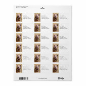 Cute Baby Piglet Farm Animals Barnyard Babies Etiket (Full Sheet)