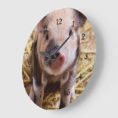 Cute Baby Piglet Farm Animals Barnyard Babies Grote Klok (Hoek)