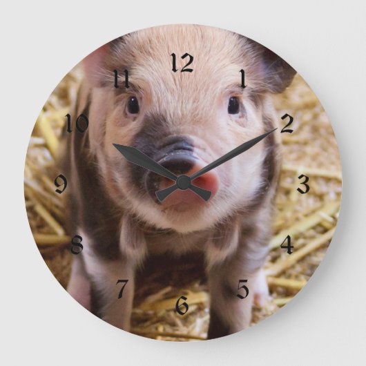 Cute Baby Piglet Farm Animals Barnyard Babies Grote Klok (Voorkant)