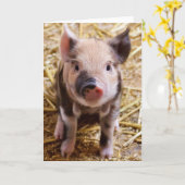Cute Baby Piglet Farm Animals Barnyard Babies Kaart (Gele Bloem)
