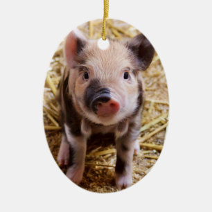 Cute Baby Piglet Farm Animals Barnyard Babies Keramisch Ornament