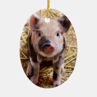 Cute Baby Piglet Farm Animals Barnyard Babies Keramisch Ornament