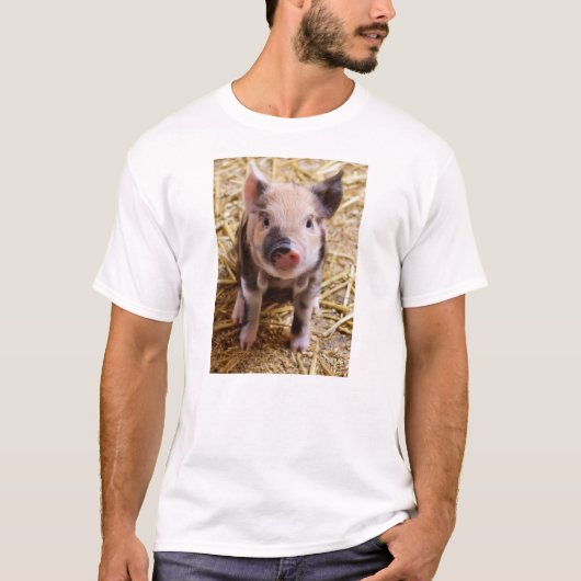 Cute Baby Piglet Farm Animals Barnyard Babies T-shirt (Voorkant)