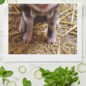 Cute Baby Piglet Farm Animals Barnyard Babies Theedoek (Gevouwen)