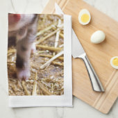 Cute Baby Piglet Farm Animals Barnyard Babies Theedoek (Quarter Fold)