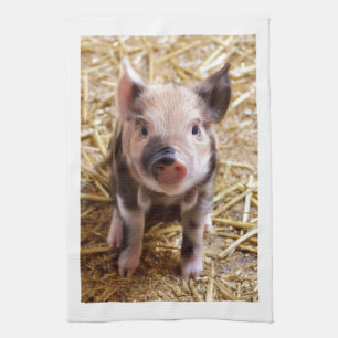 Cute Baby Piglet Farm Animals Barnyard Babies Theedoek