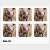 Cute Baby Piglet Farm Animals Barnyard Babies Vierkante Sticker (Vel)