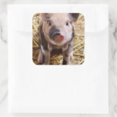 Cute Baby Piglet Farm Animals Barnyard Babies Vierkante Sticker (Tas)