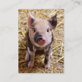 Cute Baby Piglet Farm Animals Barnyard Babies Visitekaartje (Achterkant)