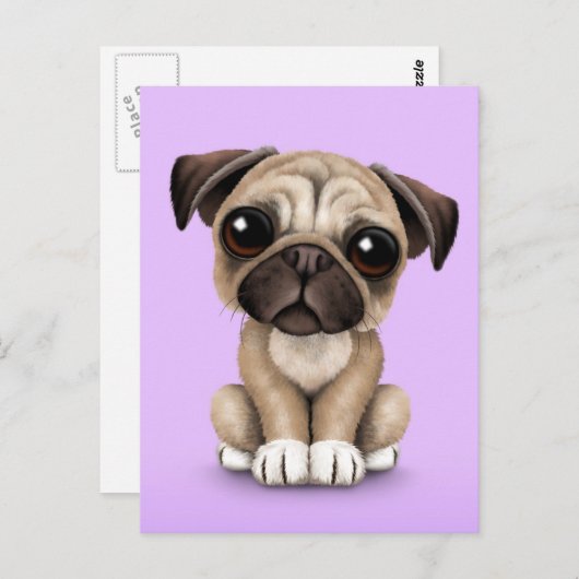 Cute Baby Pug Puppy Dog op Paars Briefkaart (Voorkant / Achterkant)